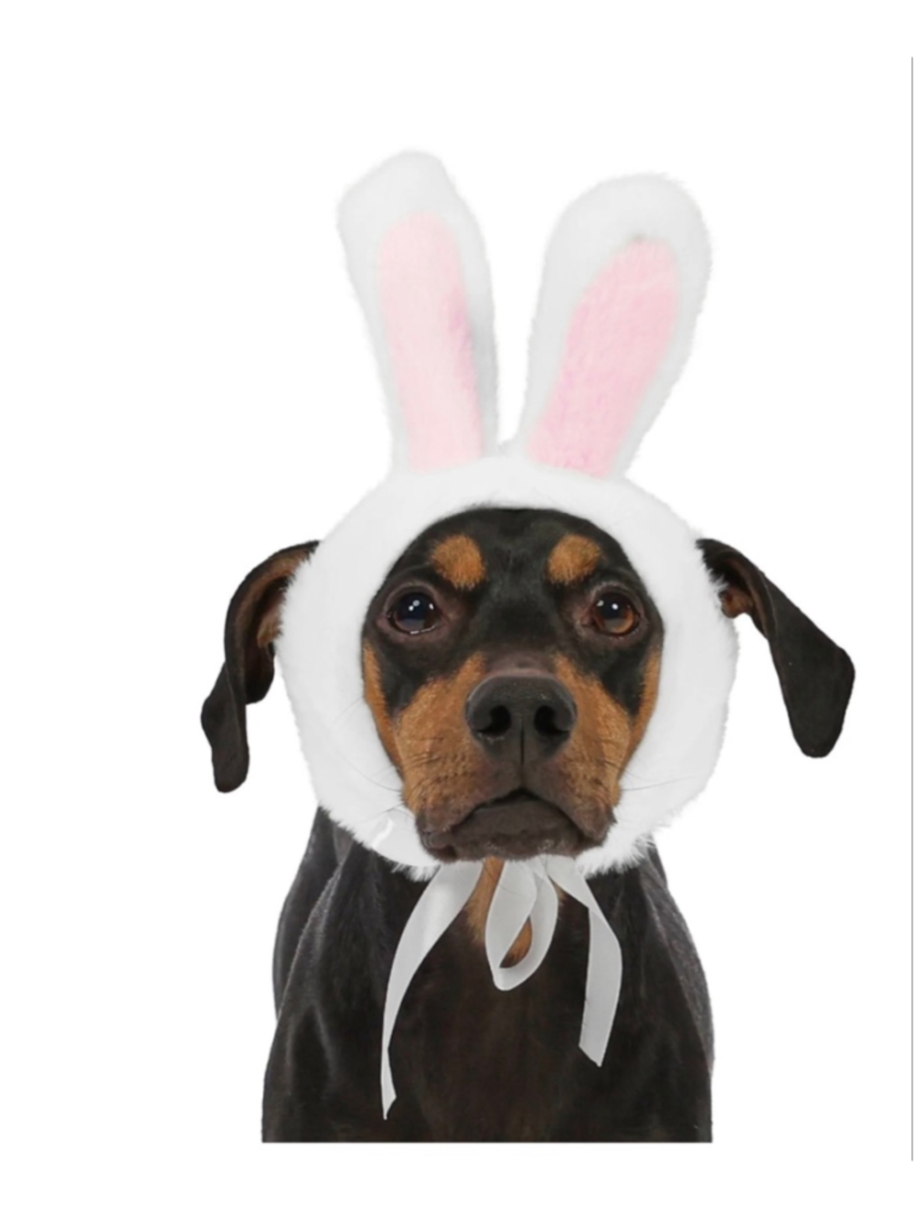 NEW Vibrant Life Pet Bunny Ears Headband One Size White Pink